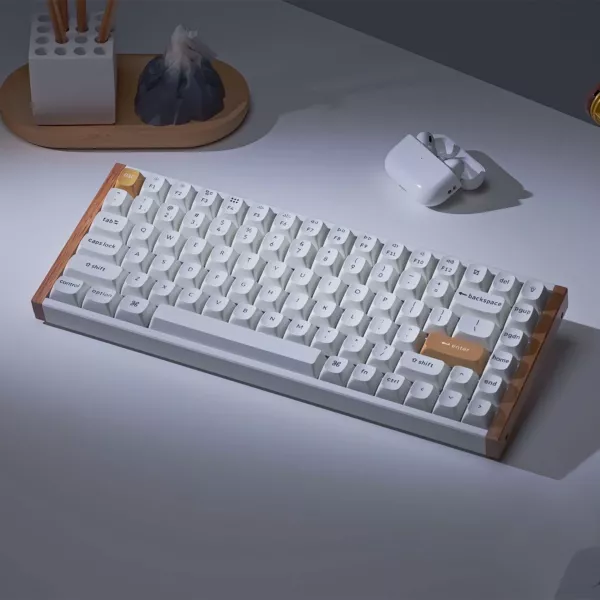 Keychron K2 HE Swappable RGB Nebula Switch Keyboard - White