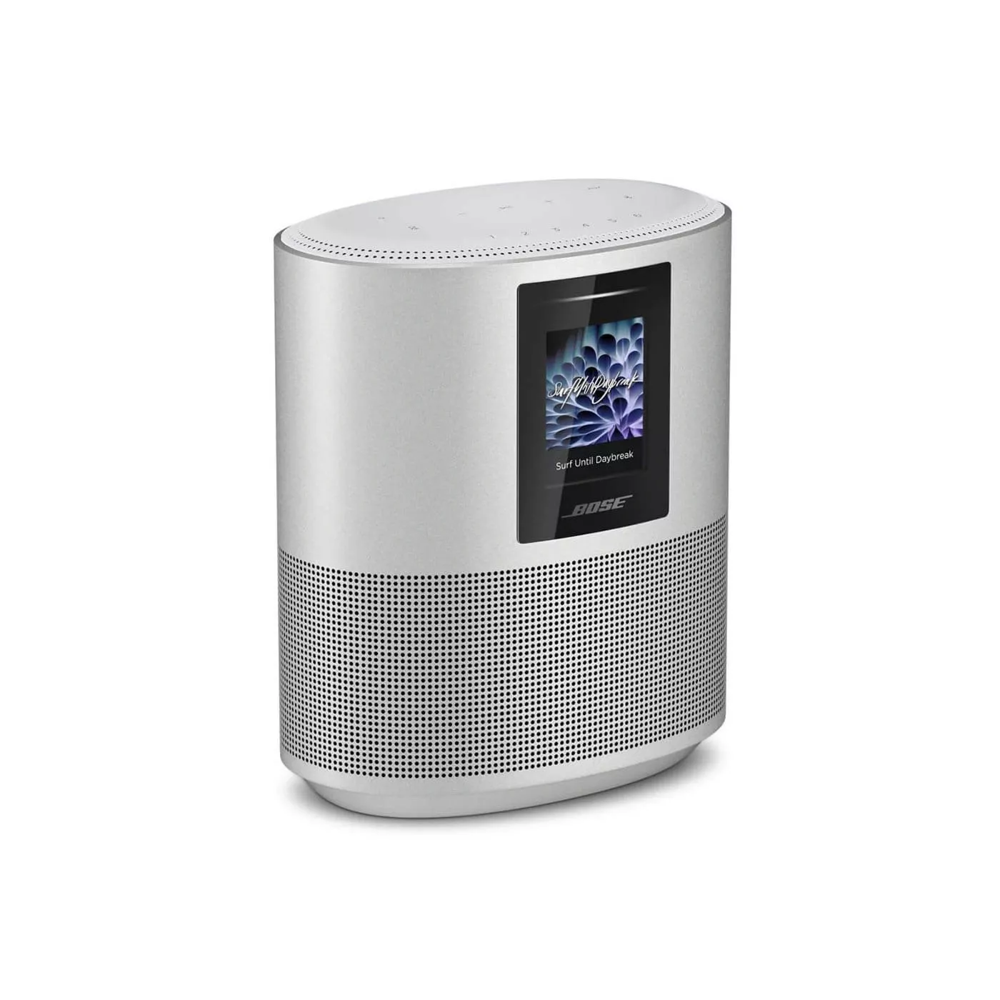 Bose Home Speaker 500 Single Lux Gray