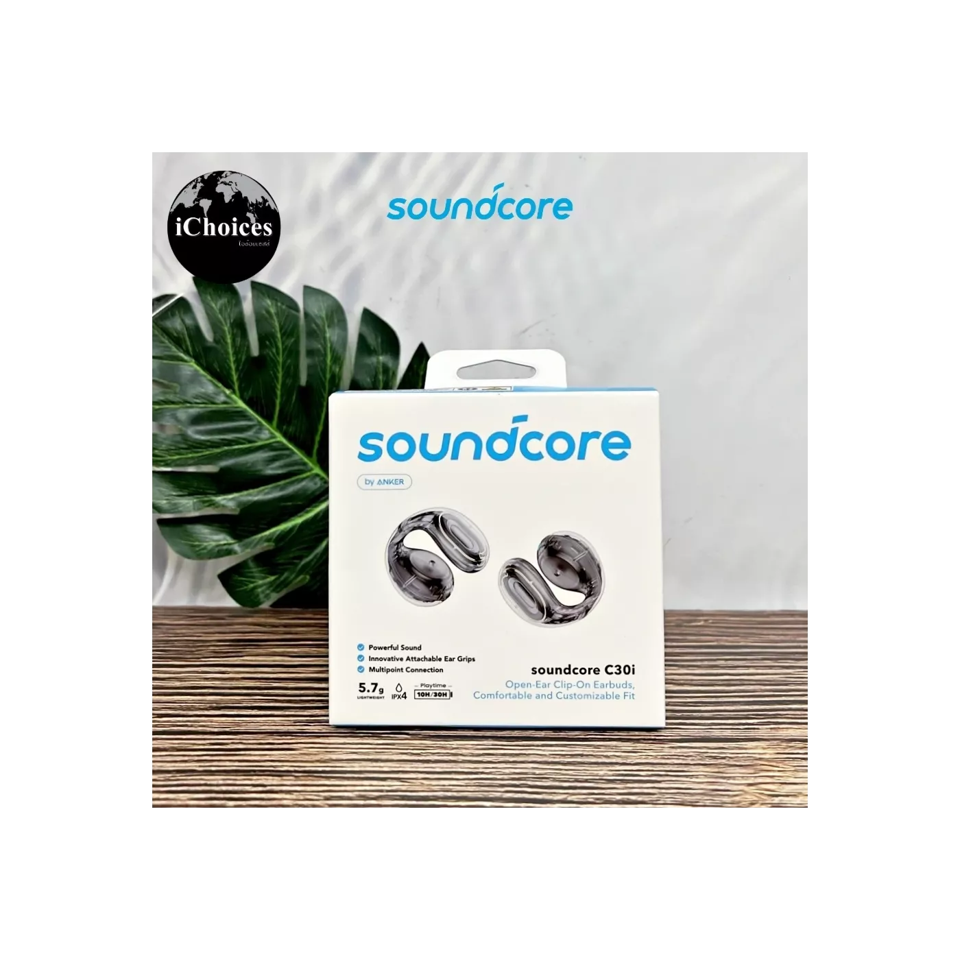 Anker Soundcore C30i Earbuds