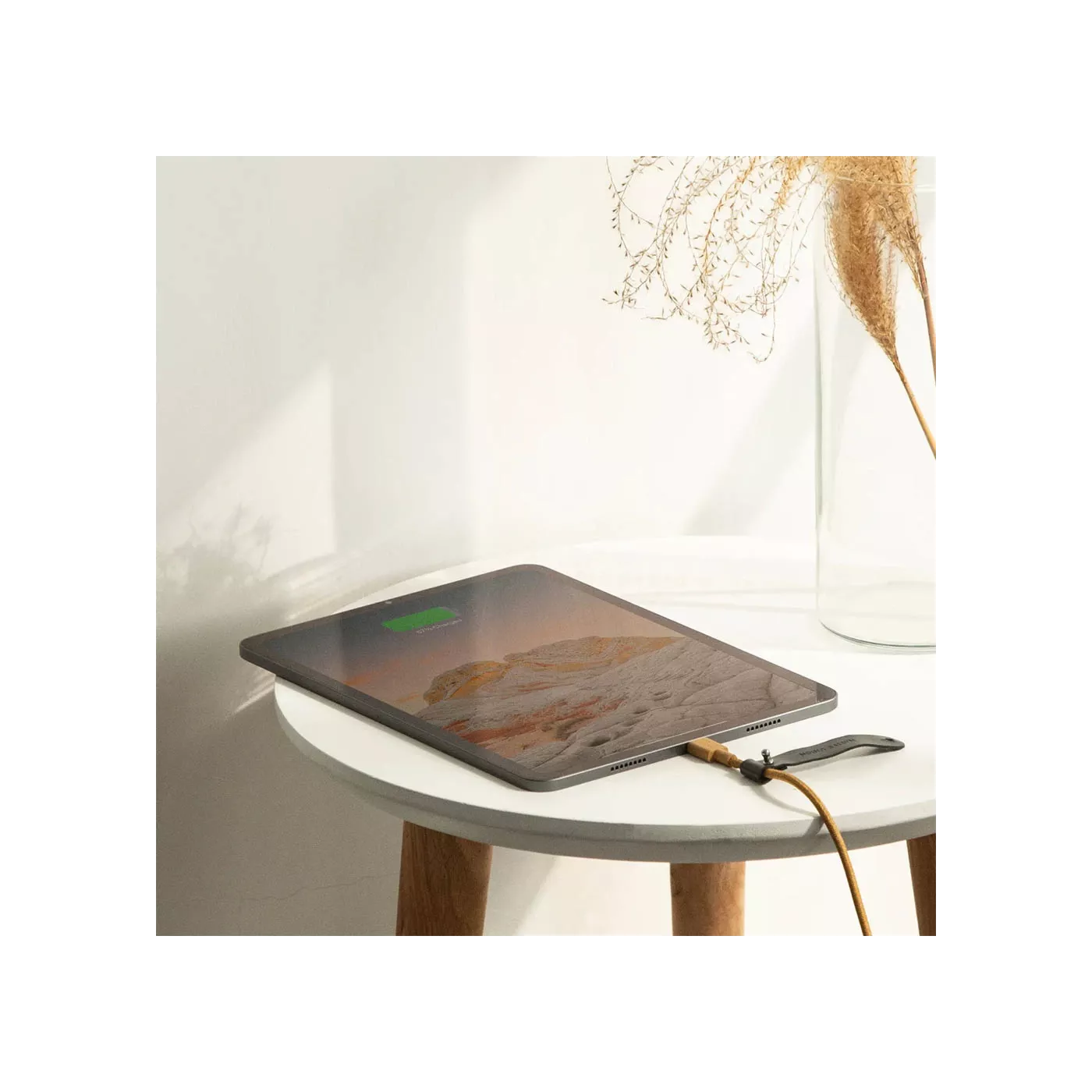 Native Union Belt Cable USB-C to USB-C (1.2m)