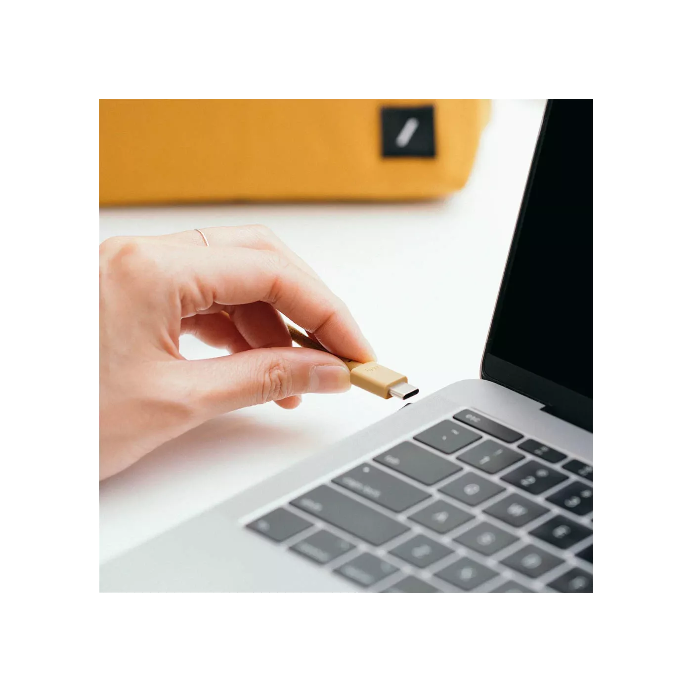 Native Union Belt Cable USB-C to USB-C (1.2m)
