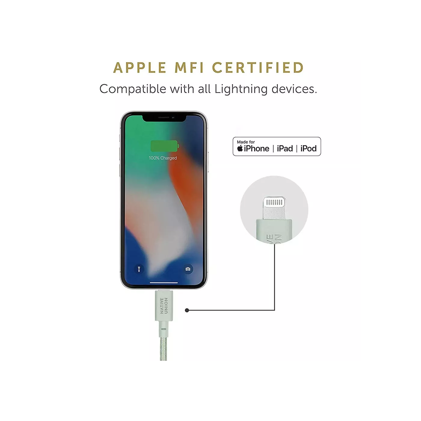 Native Union Belt Cable USB-C to Lightning (1.2m)
