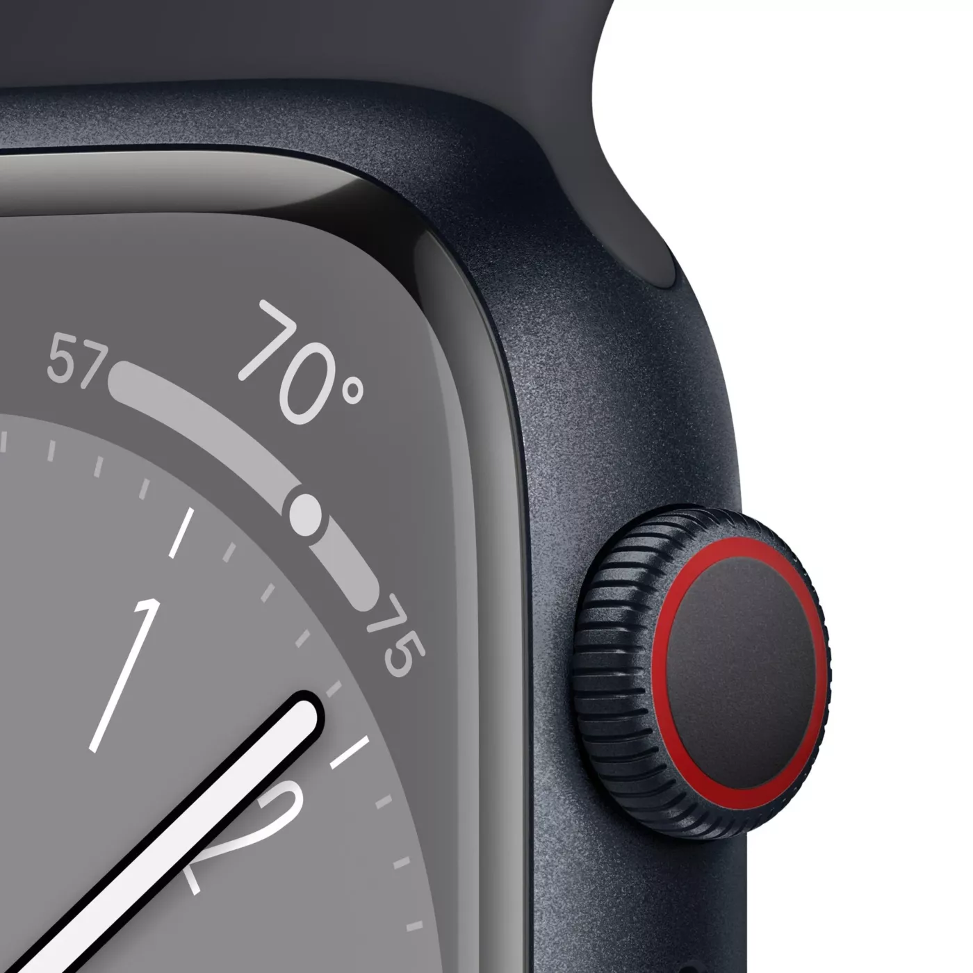 Apple Watch Series 8 Sport Band