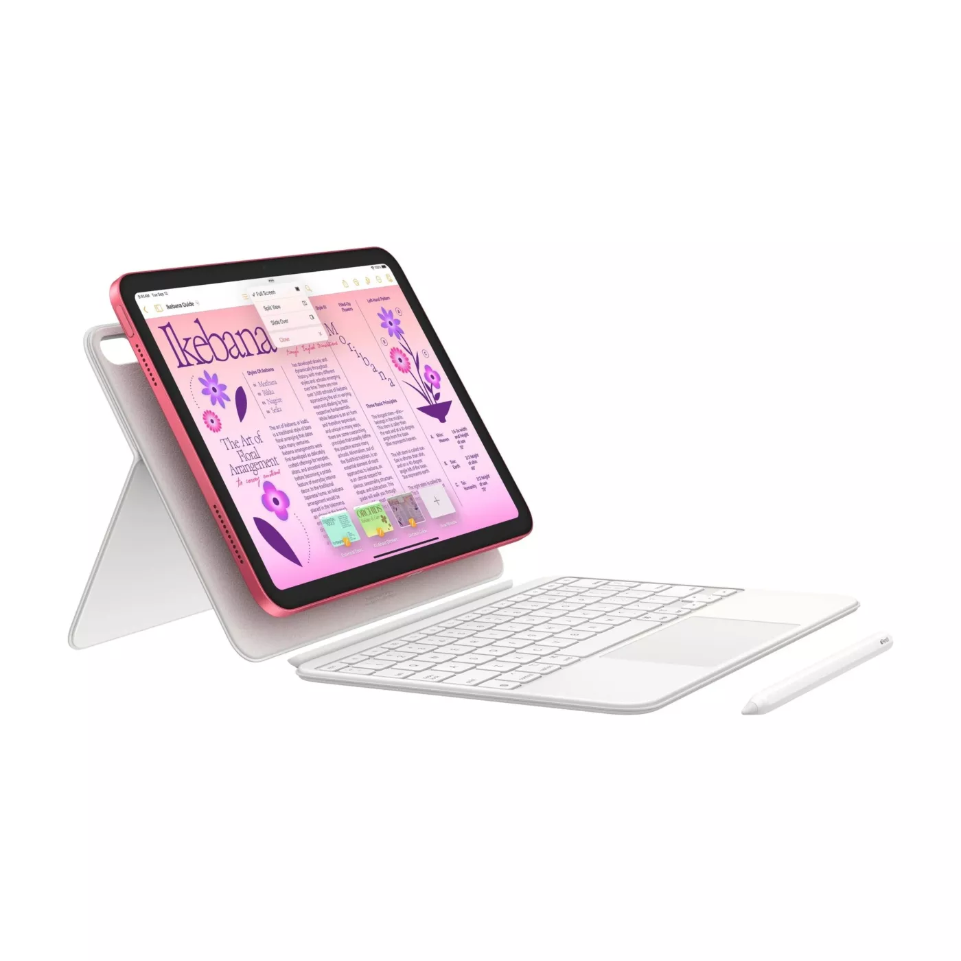 iPad 10th Gen