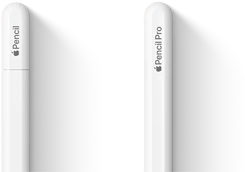 قلم Apple&nbsp;Pro وقلم&nbsp;Apple‏&nbsp;(USB‑C) جنباً&nbsp;إلى&nbsp;جنب