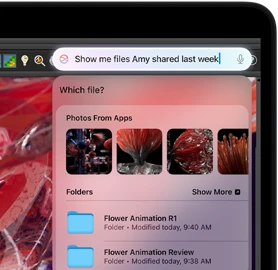 Typing a request to Siri to find files while working in the app Houdini