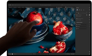 MacBook Pro with PROLED XDR Display with a still life image of pomegranates with blue ceramics and textiles, a hand reaches toward the screen to interact with the image